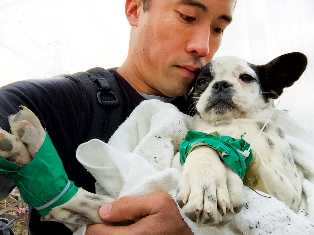 Ching holds a rescued dog whose paws are bound